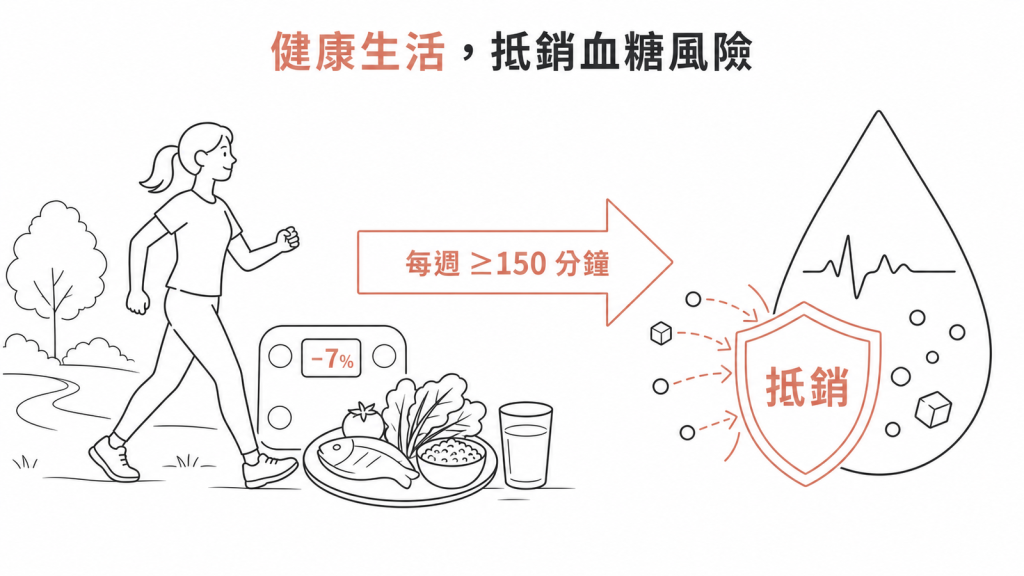 生活型態示意圖:減重 7%、每週運動 150 分鐘等健康生活習慣,可抵銷 statin 帶來的血糖風險