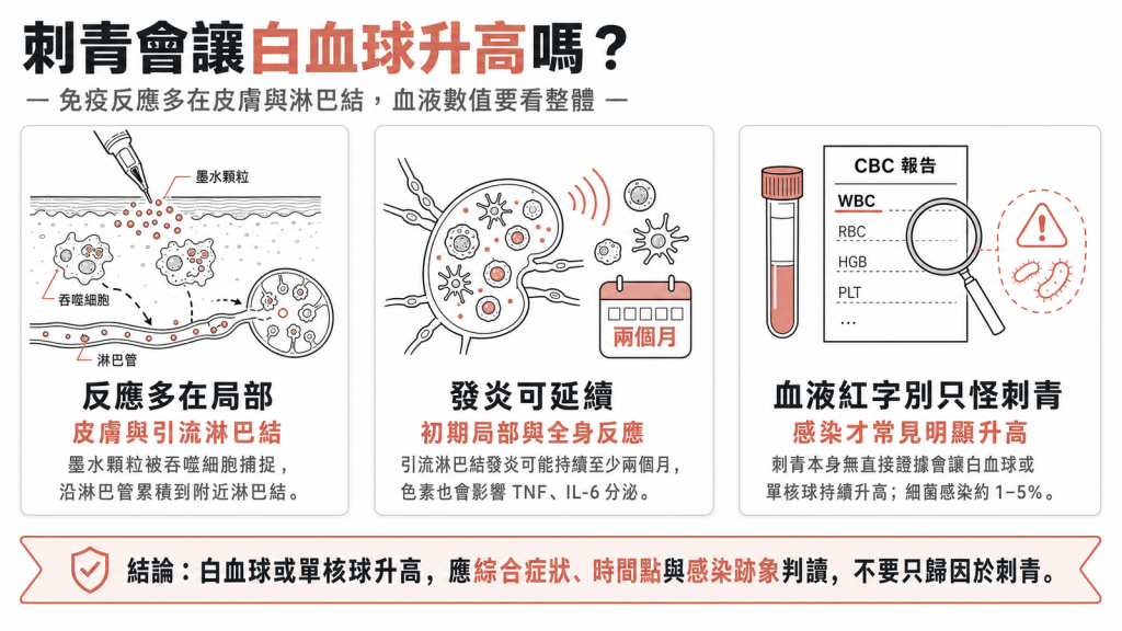 刺青會讓白血球、單核球升高嗎：墨水被吞噬細胞捕捉累積到淋巴結，免疫反應多在局部，血液紅字別只怪刺青