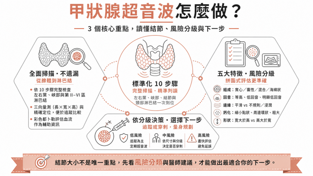甲狀腺超音波10步驟與結節風險分級示意圖