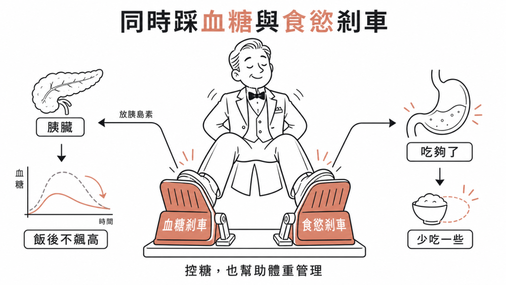 同時踩血糖與食慾兩個剎車，控糖也幫助體重管理