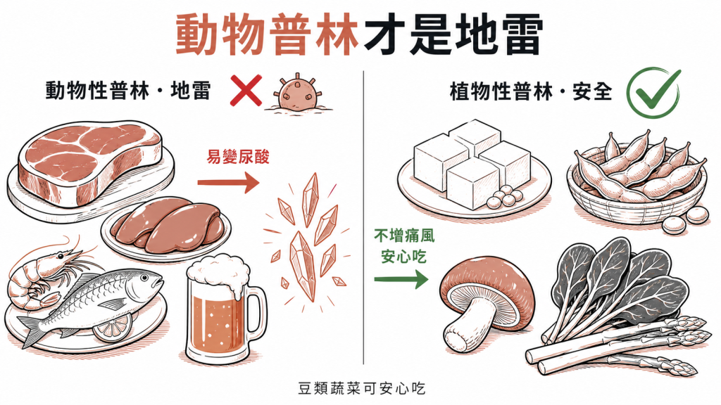 動物性普林紅肉內臟海鮮易變尿酸是地雷植物性普林豆腐香菇蔬菜不增痛風可安心吃
