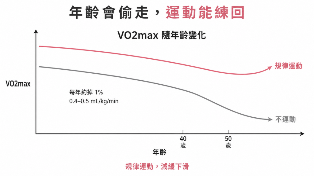 不運動VO2max每年約掉1%、0.4-0.5mL每公斤每分鐘，40至50歲後加速，規律運動能逆轉