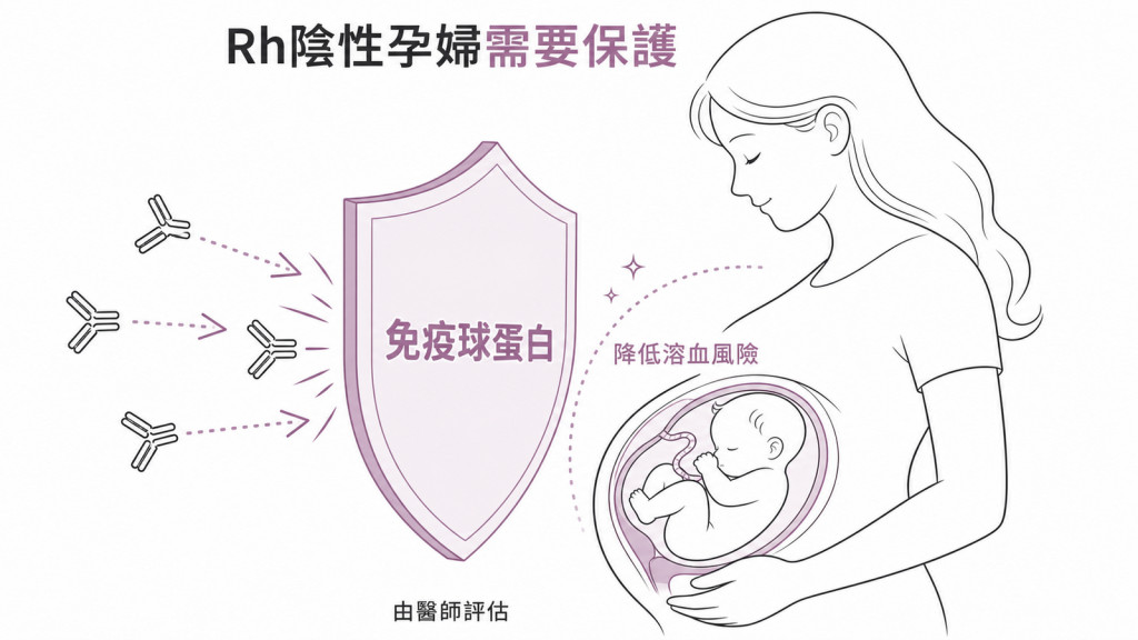 Rh陰性孕婦的免疫球蛋白保護機制