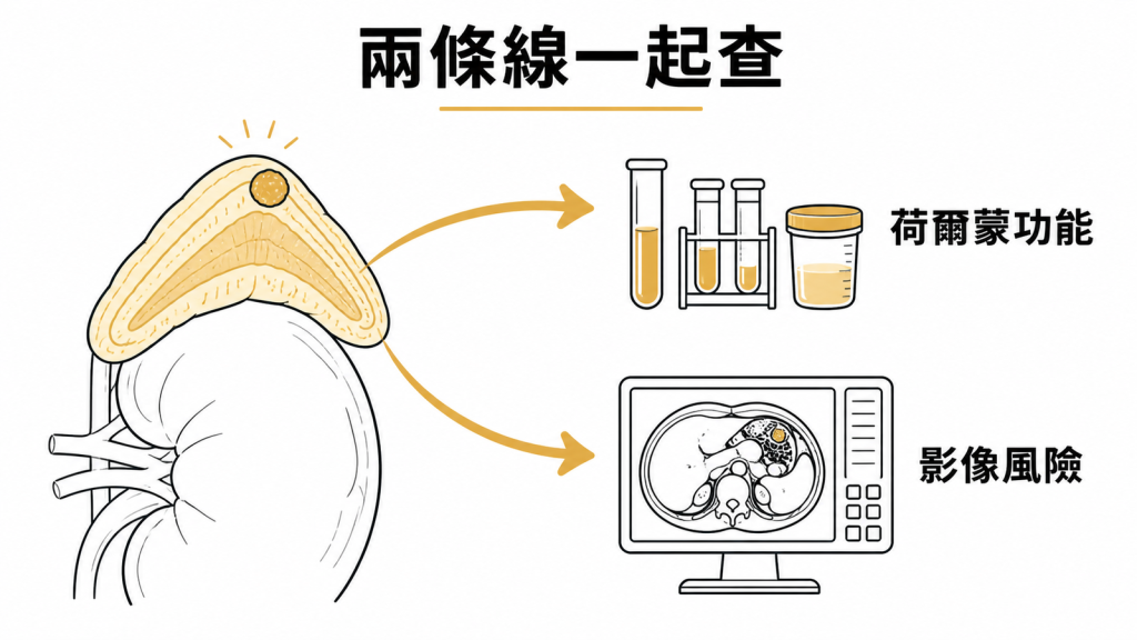 腎上腺結節需要同時檢查荷爾蒙功能與影像風險