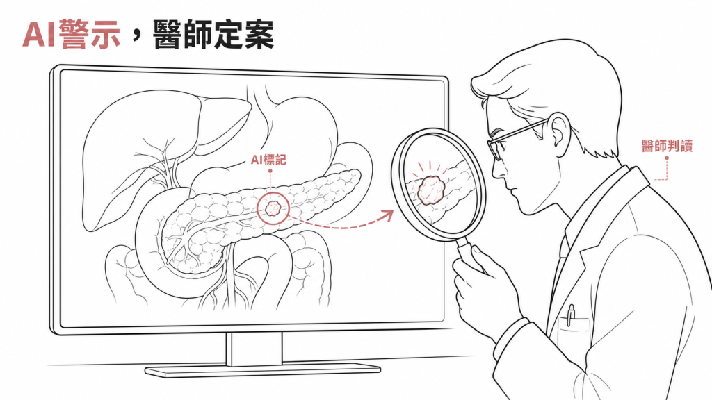 AI 只負責標記可疑處,最終判讀仍由醫師定案