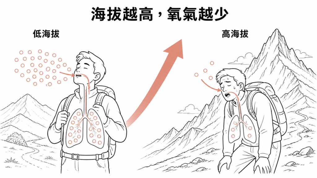 海拔越高時每一口氣能取得的氧氣變少示意圖