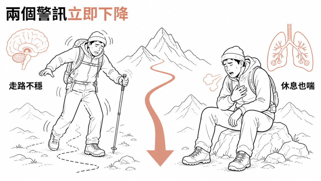高山症走路不穩或休息也喘時應立即下降示意圖
