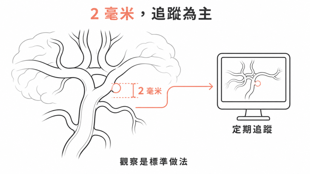 2 毫米腦動脈瘤屬最低風險，處置以定期影像追蹤觀察為標準做法