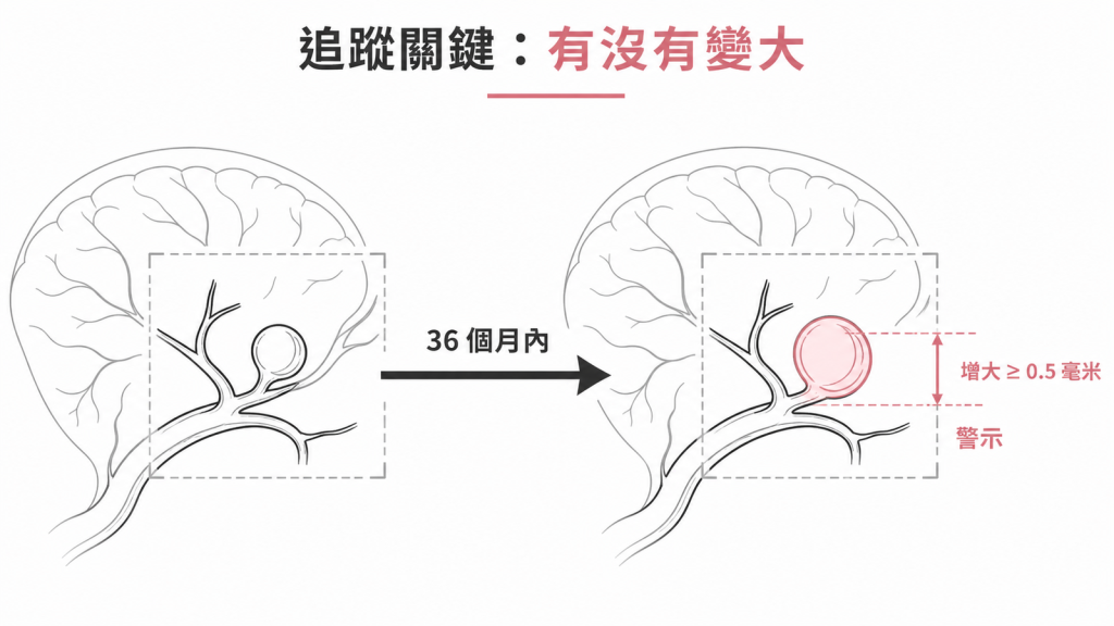 腦動脈瘤成長門檻示意圖：36 個月內增大 0.5 毫米以上就要進入更密集的監測