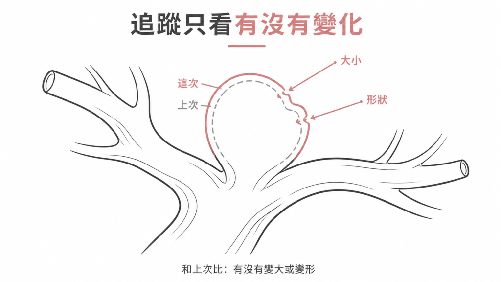 腦動脈瘤追蹤示意圖：把這次與上次影像疊在一起，比對囊袋的大小與形狀有沒有改變