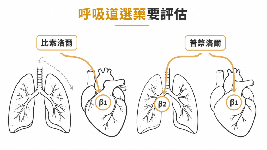 比索洛爾較偏向心臟β1,普萘洛爾也阻斷支氣管β2,呼吸道患者選藥需評估