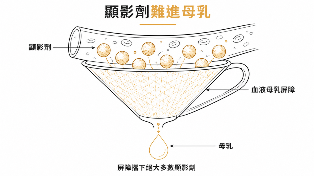 血液母乳屏障擋下絕大多數顯影劑,只有極少量進入母乳
