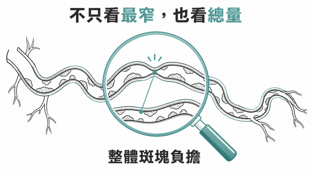 冠狀動脈評估也要看整體斑塊負擔