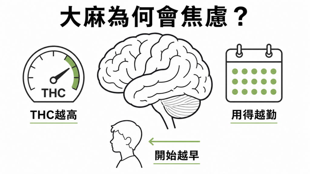 大麻與焦慮精神風險圖解