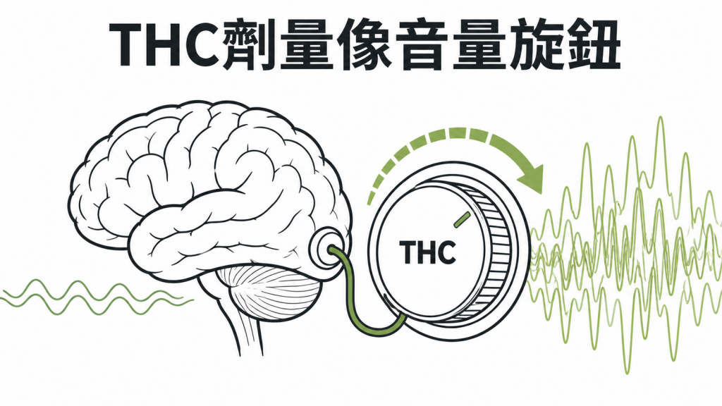 THC 劑量如音量旋鈕影響焦慮反應