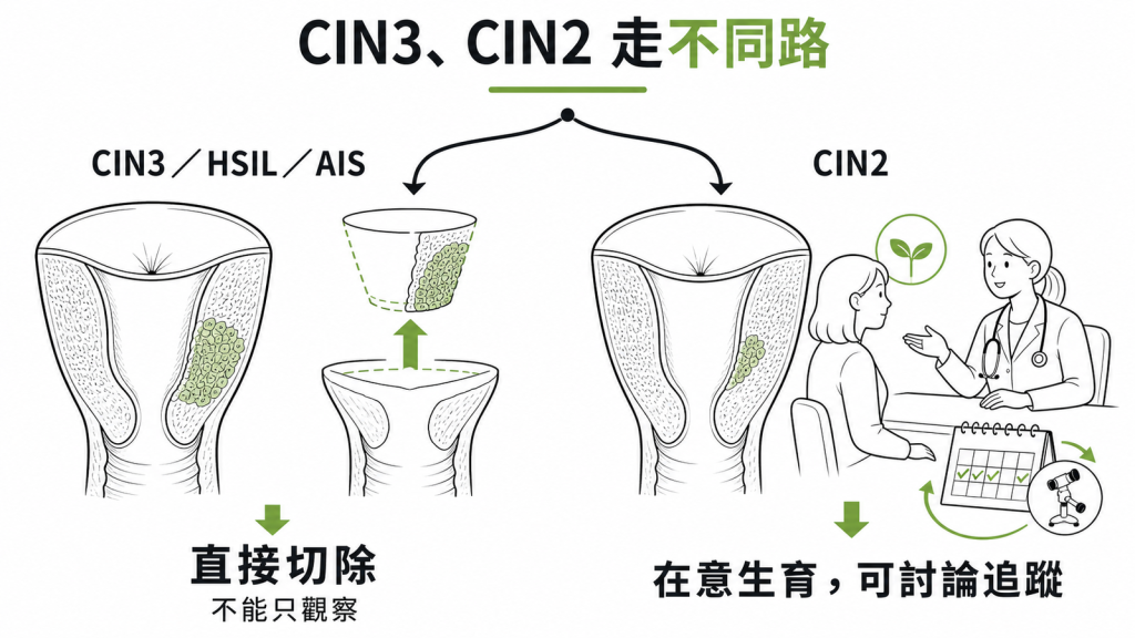 CIN3、HSIL、AIS 建議直接切除,CIN2 在意生育者可與醫師討論追蹤的分流示意圖