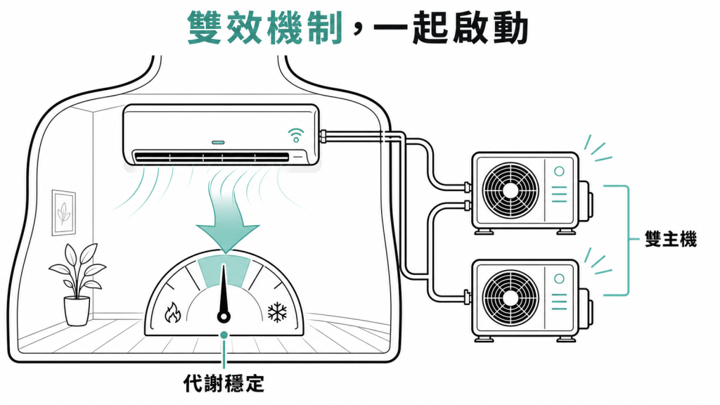 雙效機制像雙主機變頻冷氣,兩個腸道荷爾蒙一起啟動穩定代謝