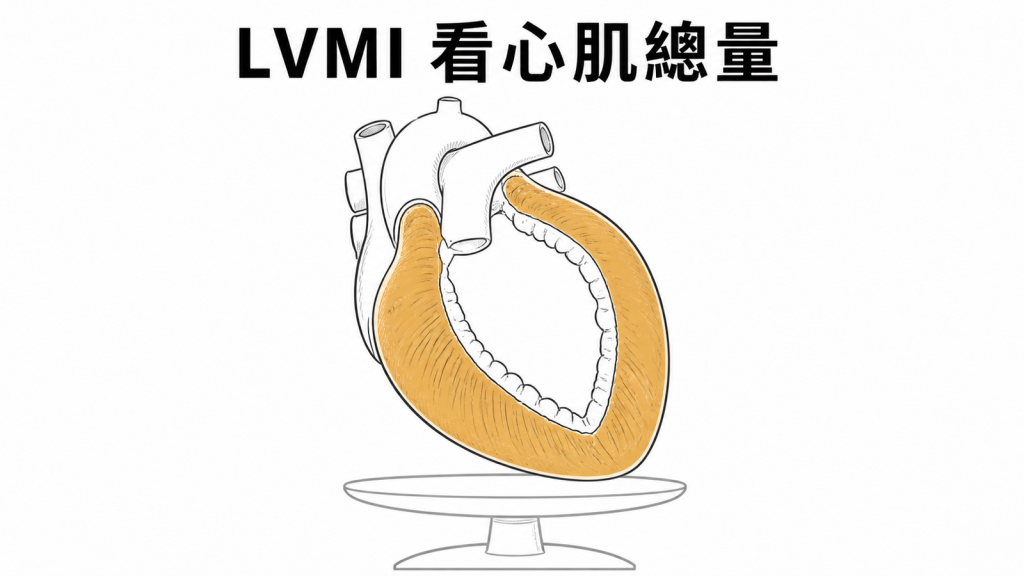 左心室整體心肌質量指數示意圖