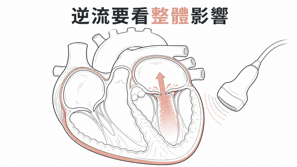 心臟超音波綜合評估瓣膜逆流與心臟負荷