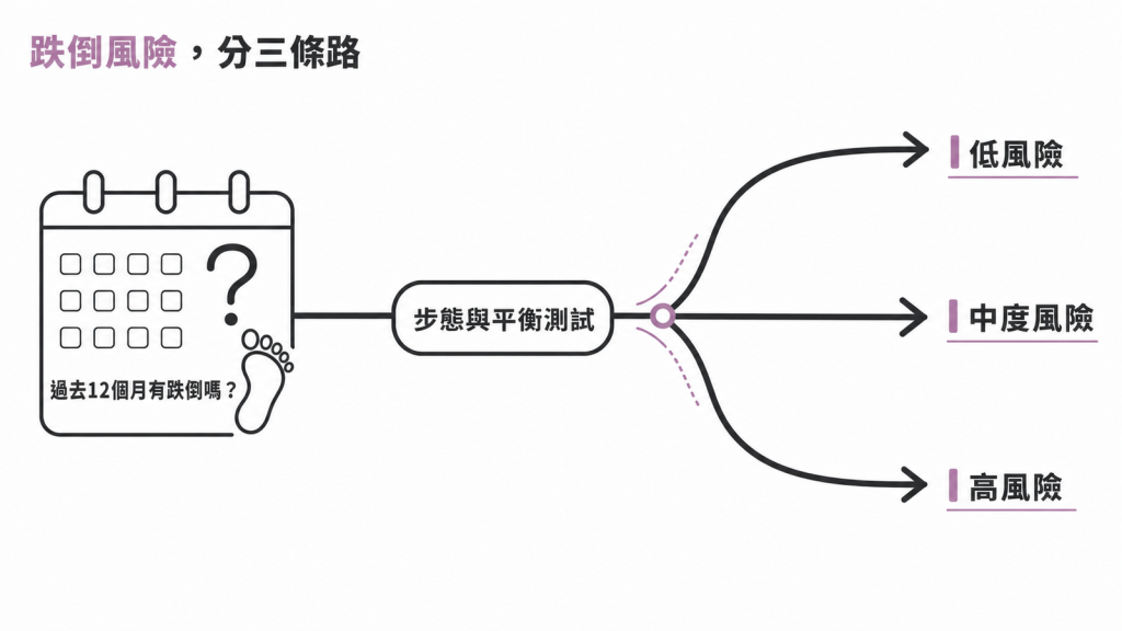 跌倒風險分流示意圖:問過去 12 個月跌倒史後,經步態與平衡測試分成低、中、高三層風險