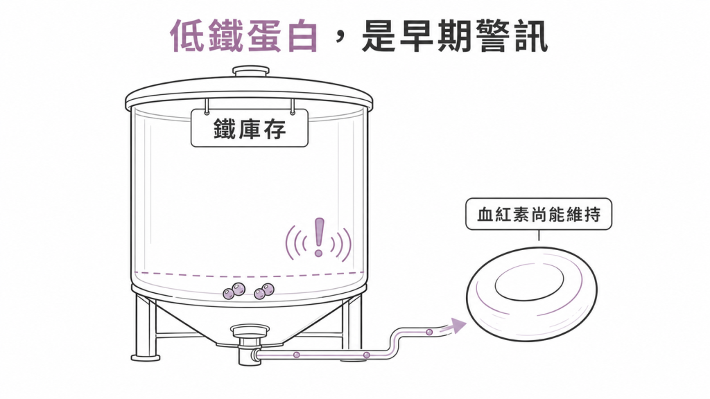 鐵庫存儲槽見底、血紅素仍能維持的示意圖,說明低鐵蛋白是缺鐵性貧血之前的早期警訊