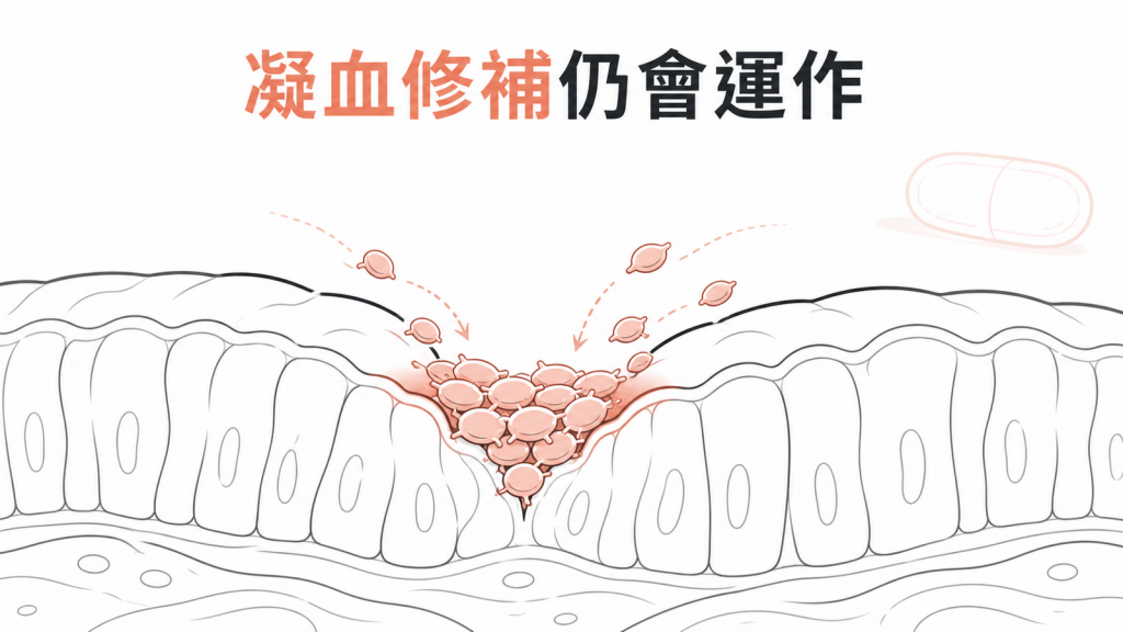 日常魚油補充不等於失去凝血能力,傷口修補機制仍會運作