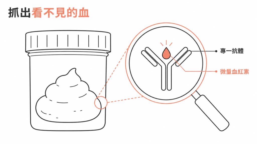 糞便潛血檢查以專一抗體抓出糞便中微量血紅素的示意圖