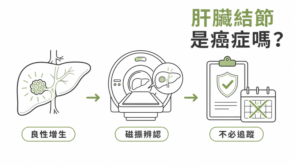 局灶性結節性增生 FNH 的影像辨認與免追蹤原則