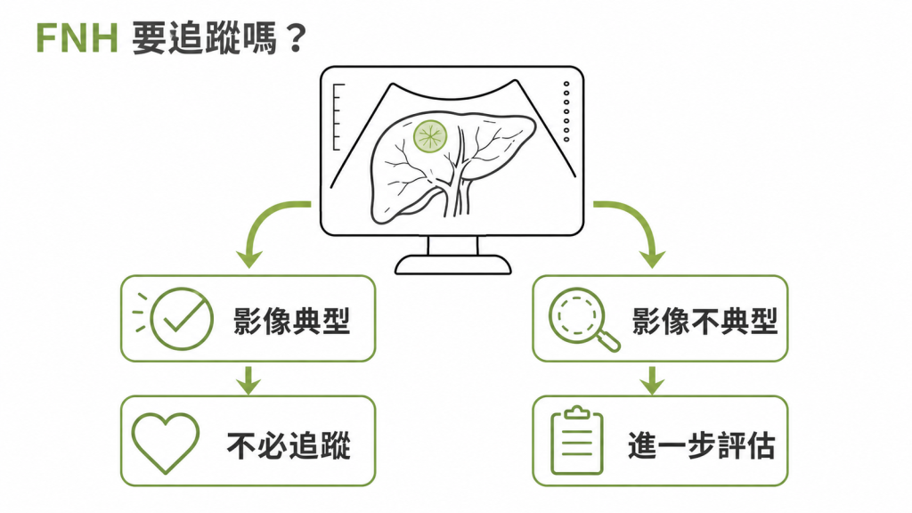 典型 FNH 不用追蹤而不典型結節需進一步評估