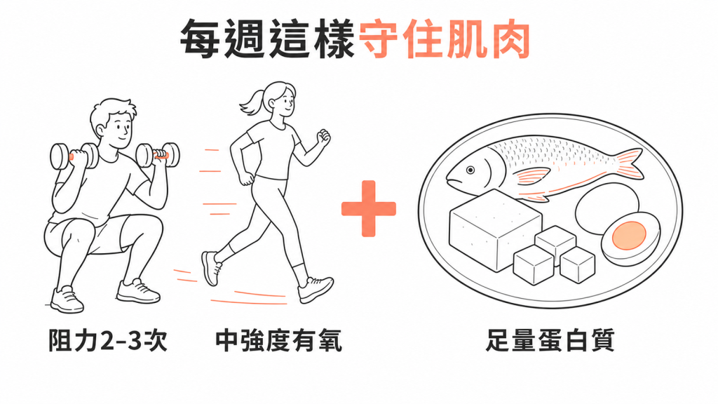 每週 2 到 3 次阻力訓練搭配中等強度有氧與足量蛋白質的示意圖