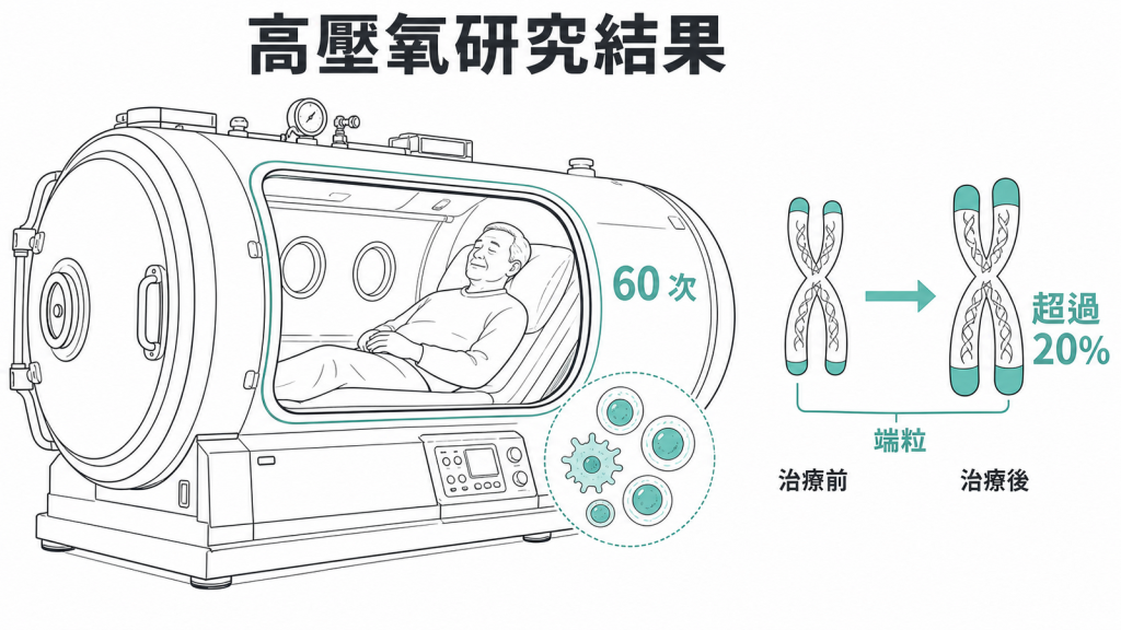 高壓氧研究中的端粒變化