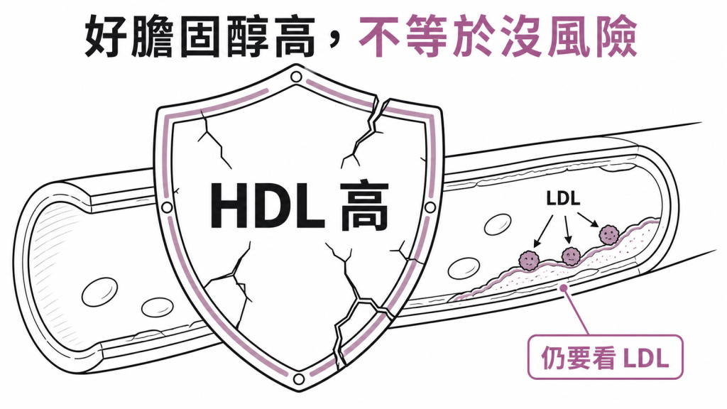 好膽固醇很高仍不能忽略壞膽固醇風險