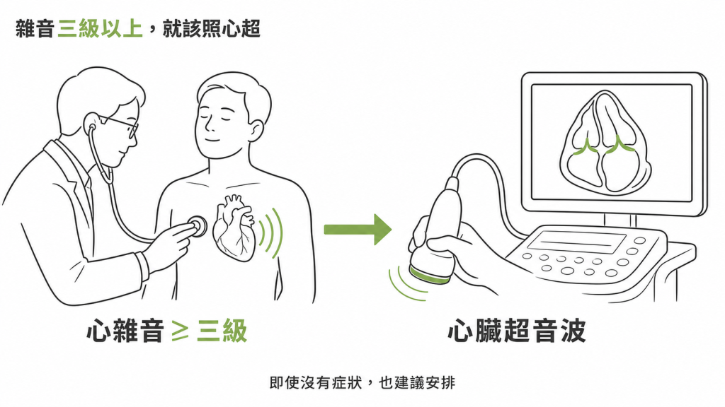 心雜音達三級或更響時,即使沒有症狀也建議安排心臟超音波