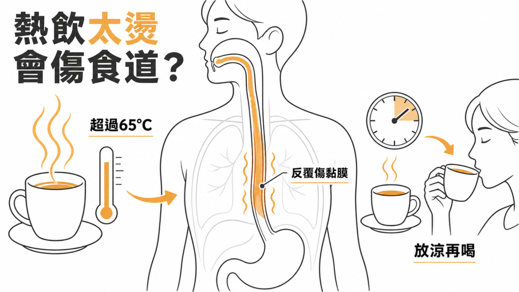 熱飲超過 65°C 會反覆傷害食道黏膜,放涼再喝可降低食道癌風險的資訊圖