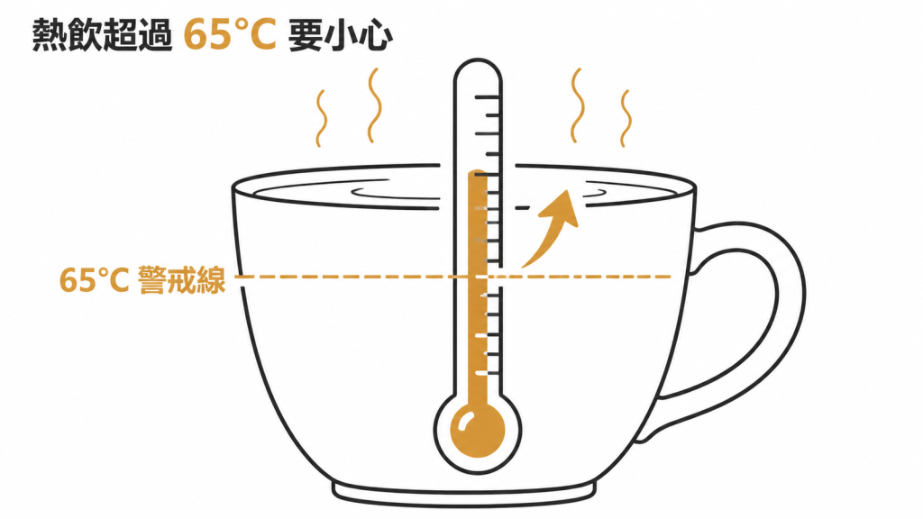 65°C 是熱飲的警戒線,超過這條線就要小心的示意圖