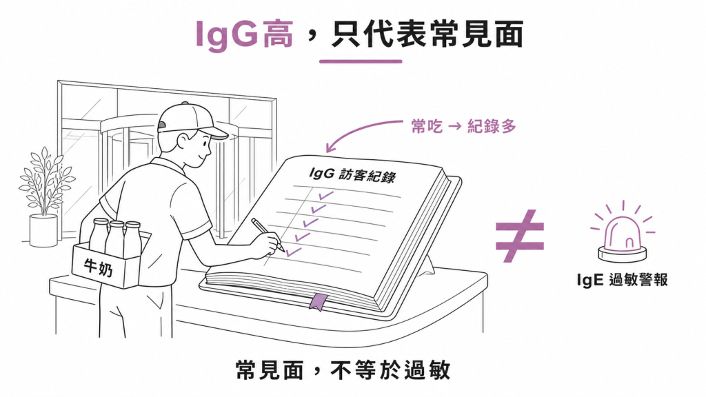 IgG 像門口的訪客簽到簿,記錄常吃的食物,與負責急性過敏警報的 IgE 不同