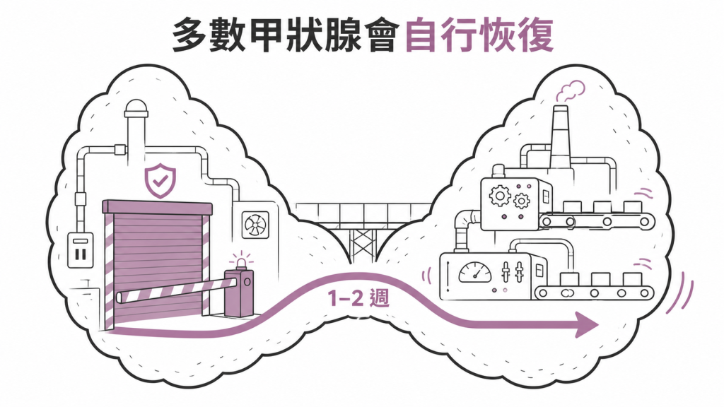 多數人使用含碘顯影劑後甲狀腺短暫波動會自行恢復示意圖