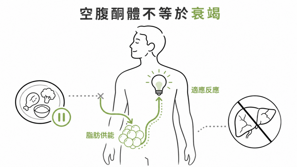 健康空腹出現尿液酮體通常是脂肪供能的適應反應