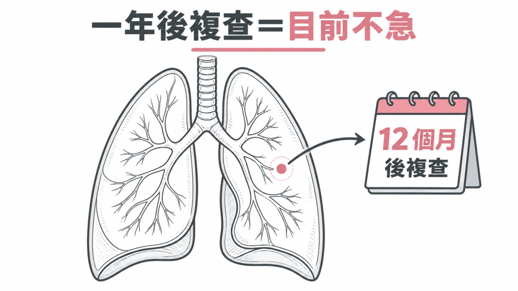報告建議12個月後複查,代表這次看到的結節目前並不急