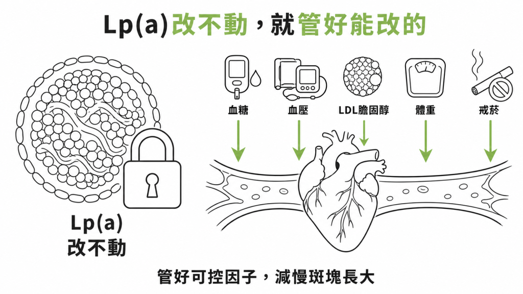 Lp(a) 改不動,就把血糖、血壓、LDL 膽固醇、體重與戒菸這五項可控因子壓到最低,減慢斑塊長大