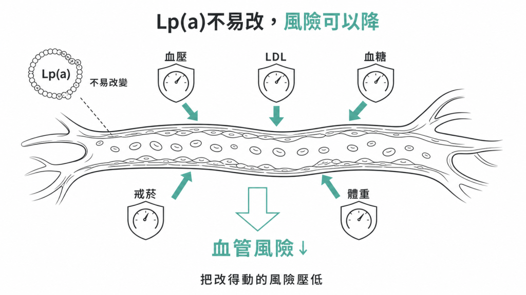 Lp(a) 改不動,但把血壓、LDL、血糖、體重與戒菸這幾項壓低就能降低整體血管風險