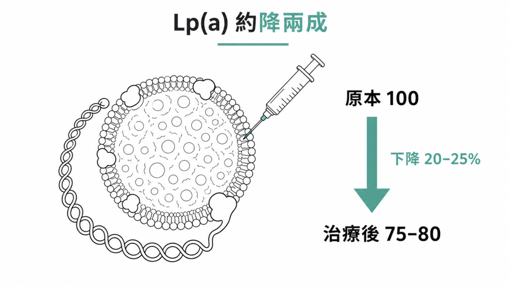 現有降血脂藥對 Lp(a) 幫助有限,原本 100 的數值治療後約降到 75 到 80