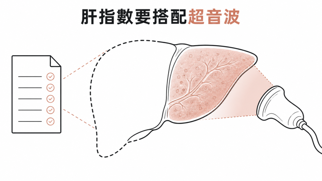 肝指數要搭配超音波綜合判讀