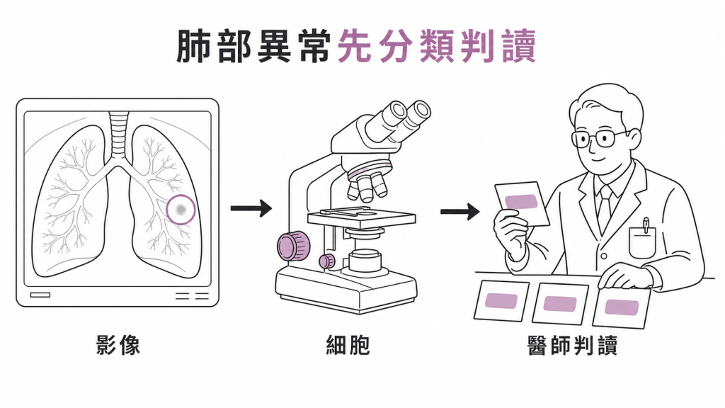 肺部影像異常需要依細胞型態由醫師分類判讀