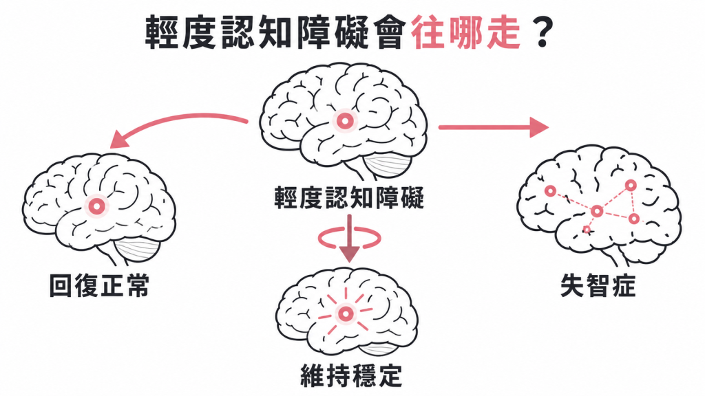 輕度認知障礙的三條去向:轉換為失智症、維持穩定、回復到正常