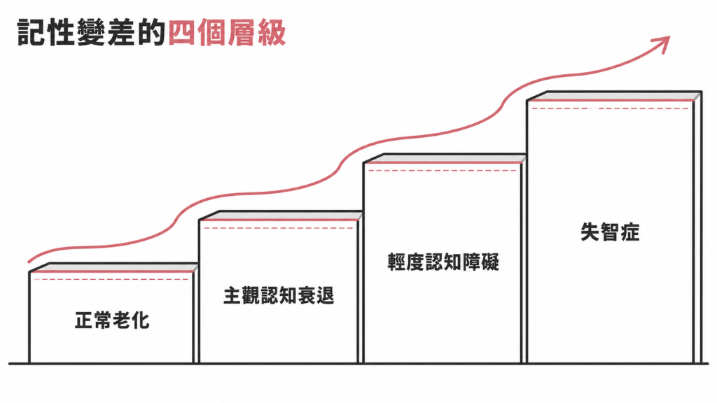 記性變差的四個層級階梯:正常老化、主觀認知衰退、輕度認知障礙、失智症