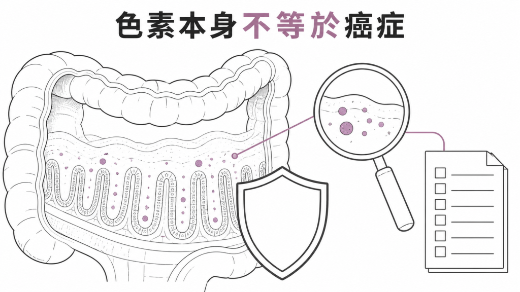 大腸黏膜色素沉積本身不等於癌症