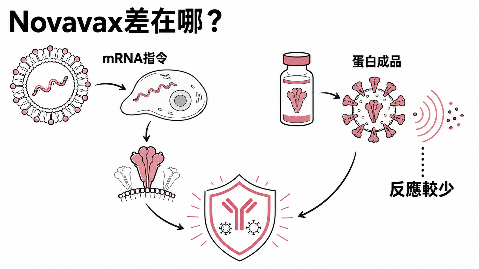 Novavax 新冠疫苗與 mRNA 疫苗作用方式比較示意圖