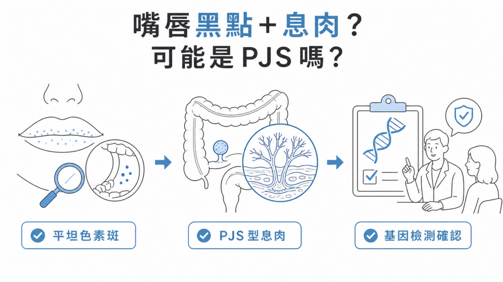 黑斑息肉症的平坦色素斑、PJS 型息肉與基因檢測圖解