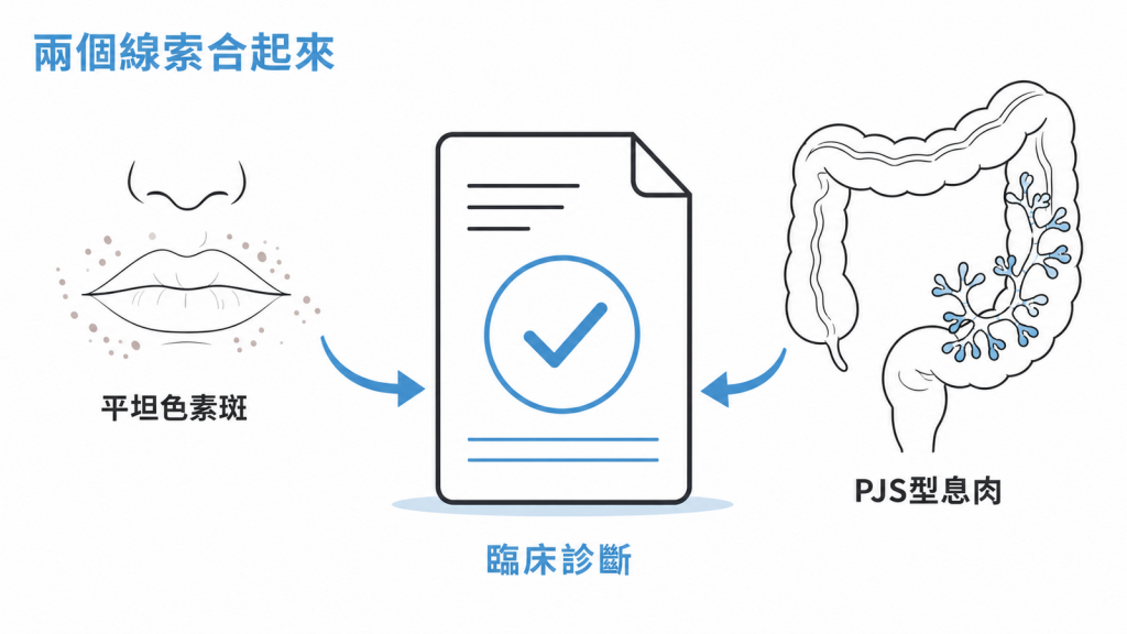 平坦色素斑與經病理證實的 PJS 型息肉合併成臨床診斷線索